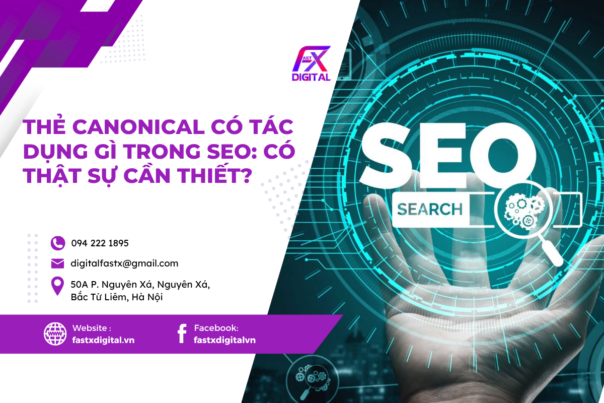 Thẻ Canonical có tác dụng gì Trong SEO: Có Thật Sự Cần Thiết?