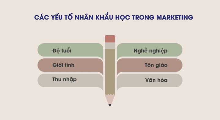 Các nhân tố trong nhân khẩu học