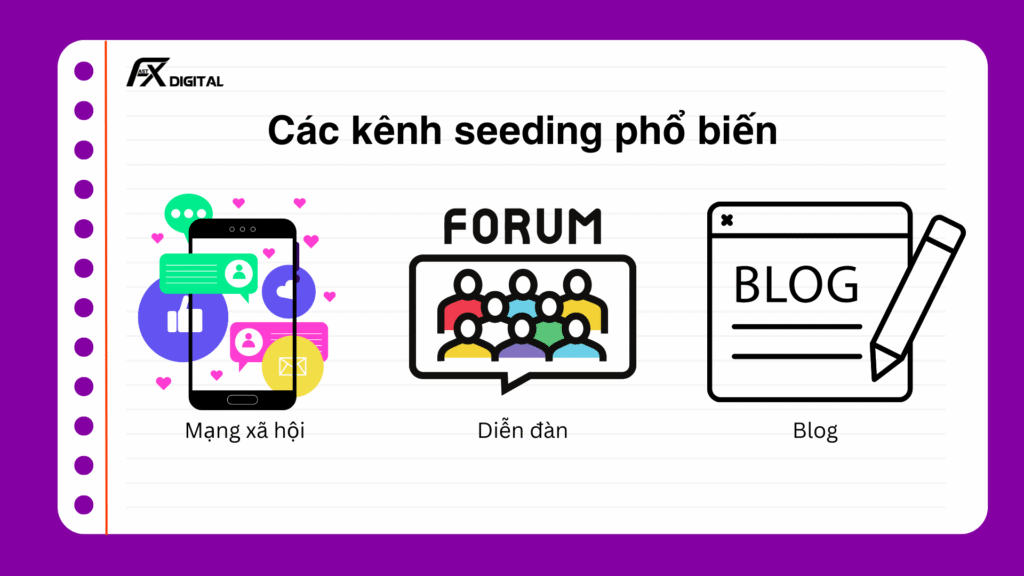 Kênh seeding phổ biến